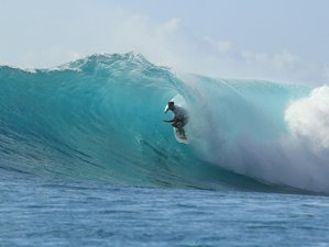 12 jours en retraite tout compris de surf et de yoga à Santa Teresa, Costa Rica
