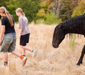 4 jours en stage de yoga et cheval au centre de la France - Photo 3