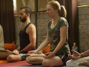 13 Tage 100-Stunden Multi-Stil Yogalehrer Ausbildung in Rishikesh, Indien
