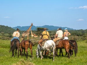 4 Day Arusha National Park Horseback Riding Tour and Safari Holiday in Tanzania