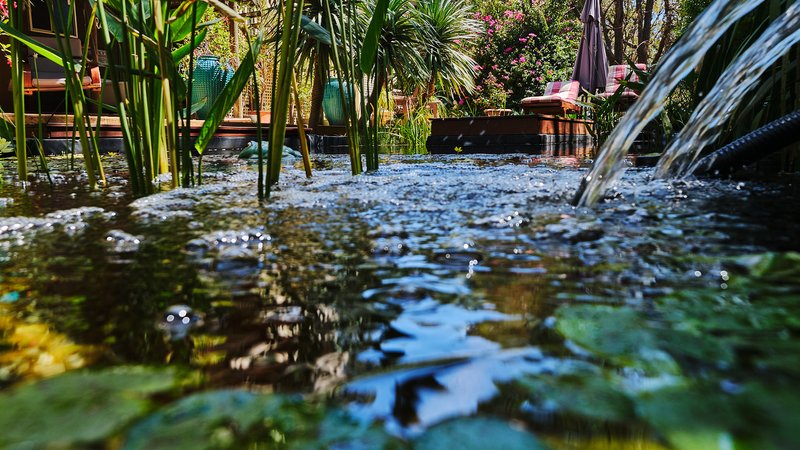 5 Day Ultimate '1 to 1' Yoga Retreat in Mundaring, Western Australia with Forest Walk and Massages