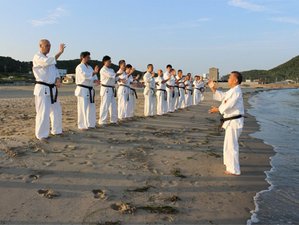 6 Day Island Special Karate Camp in Okinawa