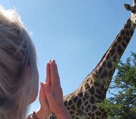 421 Day 200-Hour Hatha/Ishta Traditional Yoga Teacher Training in Kwa Zulu Natal, South Africa - Photo 1