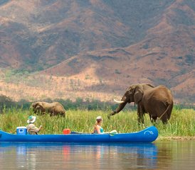 10 Tage Kanufahren am Unteren Sambesi und Safari im Kafue-Nationalpark in Sambia - Photo 3