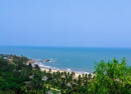 Mandrem Retreats & Trips