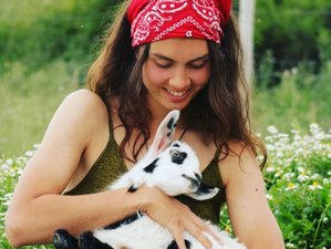 7 Day WHYLD PLEASURE: Sensual Feminine Empowerment Retreat in Stunning Finiq, Albania