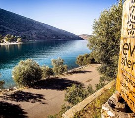 15 jours-200h en formation de professeur de yoga thérapeutique à l’île d’Eubée, Grèce - Photo 3