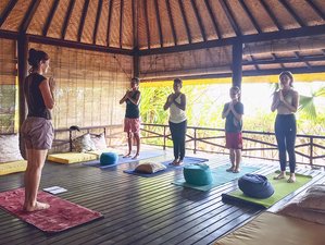 4 Day Yoga and Self-Healing Retreat in Bali, Indonesia