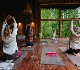 5 Day Return to the Origins: Spiritual Retreat in Pucón, Chile with Ancestral Wisdom and More - Photo 3