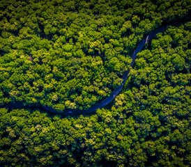 6 Day Ecuadorian Rainforest Exploration in Yasuní National Park with Parrot Clay Lick Visit - Photo 4