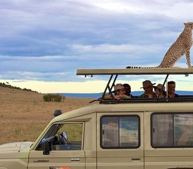 7 Día Safari Privado por lo Mejor de Tanzania: Experiencia de la Migración de Ñus en el Serengeti - Photo 2