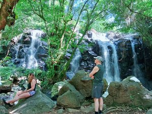 28 Day "Heal From Within" Authentic Culture, Organic Detox, Spa and Yoga Holiday in Selemadeg, Bali