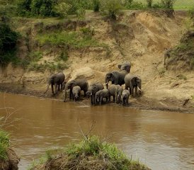 6 Tage Unvergessliche Camping Safari im Masai Mara, Nakuru-See und Amboseli in Kenia - Photo 2