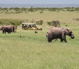 1110 jours en safari des explorations du Nord au Kenya - Photo 1