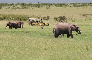 10 Tage Die Northern Exploits Safari in Kenia