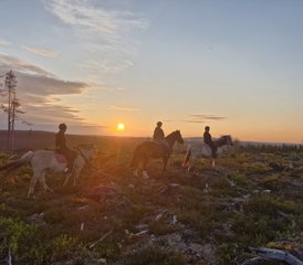 7 Tage Lappland im Sommer Reiten in Rovaniemi, Finnland - Photo 3