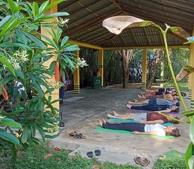 7 Tage Klangheilung, Yoga, Massage und Retreat für Inneren Frieden in Bentota, Sri Lanka - Photo 3