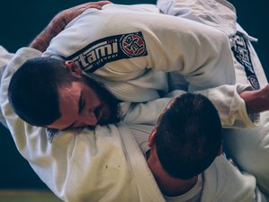 Gracie / Brazilian Jiu-Jitsu