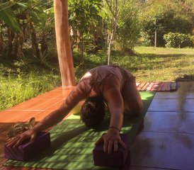 9 días de curso de profesorado de vinyasa y yin yoga de 100 horas en Puerto Viejo, Costa Rica - Photo 2