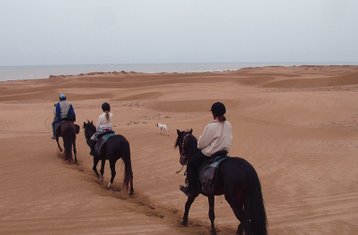 6-Daagse De Parel van Essaouira Paardrijvakantie in Marokko