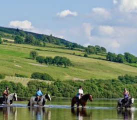 6 jours de randonnée équestre Trail guidé de Galway au comté de Clare, dans l’Ouest de l’Irlande - Photo 3