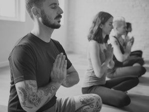 6 Day Online Mindfulness Meditation for Super Performance Masterclass with Naturbliss Group/Private