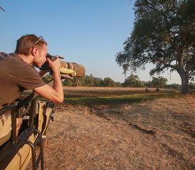 7-Daagse Ontdek Unieke Fotografische Stijlen met de Beste Wildlife Safari in South Luangwa, Zambia - Photo 4