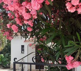 5-Tage Soulful Cappuccino Beach Retreat in Algarve, Portugal - Photo 5