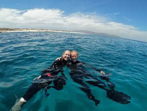 1 Day Ocean Safari: Snorkel, Free Diving, and Visit Cerralvo Island, Mexico
