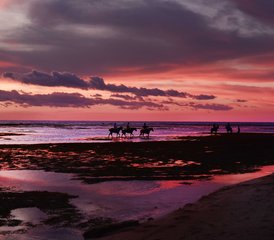 3 Day All Inclusive Horse Riding Holiday on the Beach and Jungle included Massage in Bali, Indonesia - Photo 2