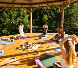 5 días de retiro de yin yoga y yoga somático y curso de formación continua en Maryville, Estados Unidos - Photo 5