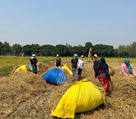 7 Day Yoga, Meditation, Silence, and Healing Retreat on a Sustainable Organic Farm in Rural India - Photo 3