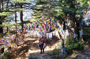 Demi-journée de balade guidée privée dans le village avec récits à Dharamsala, Inde
