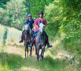 2 Day Horse Riding Holiday in the Heart of the Chantilly Region - Photo 4