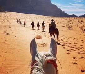 9 Day Petra and Wadi Rum Horse Riding Tour in Jordan - Photo 2