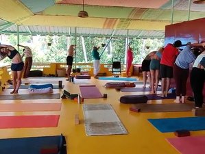 Top 10 Yoga Retreats in Kerala