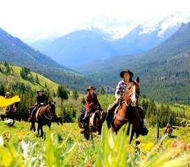 5 Day Ranch-Based Bear Tracking and Conservation Horse Riding Holiday in British Columbia, Canada - Photo 4