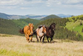 Ranch fur Singles Retreats und Reisen
