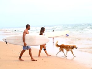 8 Day Beginner and Intermediate Surf Camp in the Best and Famous Surf Spots of Tamraght