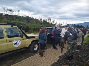 13 días de experiencia cultural y con gorilas en Uganda