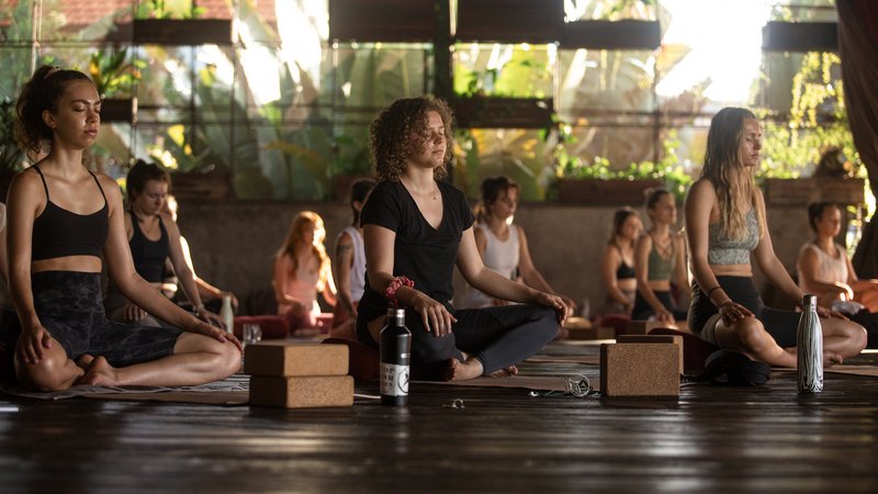 Self-Paced 200-Hour Online Vinyasa and Hatha Yoga Teacher Training