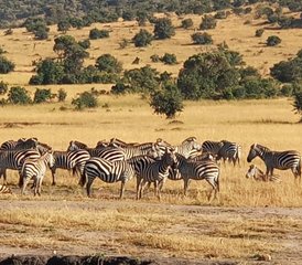 5 jours en stage de safari à petit budget au Kenya - Photo 4