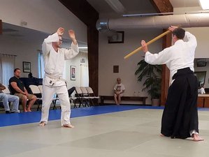 30 Day Immerse Yourself in Aikido, the Art of Peace, in Virginia