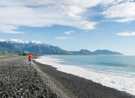 Kaikoura Retreats & Trips