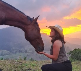 21-Daagse Natural Horsemanship en Klassieke Rijkunst in Tucurrique, Cartago, Costa Rica - Photo 5