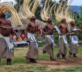 7 jours safari au Rwanda – safaris à Akagera et trekking des singes dorés - Photo 3