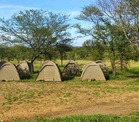 8-Daagse Beste van Tanzania Budget Kampeersafari - Photo 2