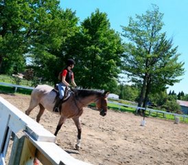 8 Day Summer Horse Riding and French Camp for Teens in Quebec City, Canada - Photo 3