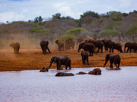 Tsavo East National Park
