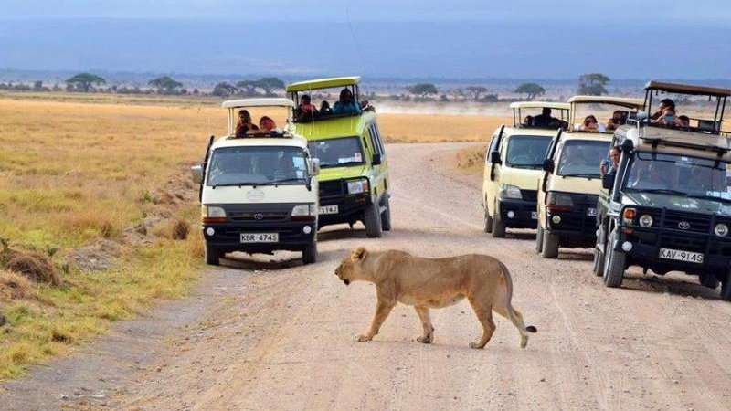 2 Days Affordable Safari in the Magnificent Tsavo East National Park, Kenya  - BookAllSafaris.com